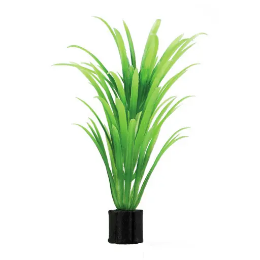 Finale Aktion HOBBY Plant Tenellus minii 1,5 x 1,5 x 7 Centimeter Aquarieneinrichtung